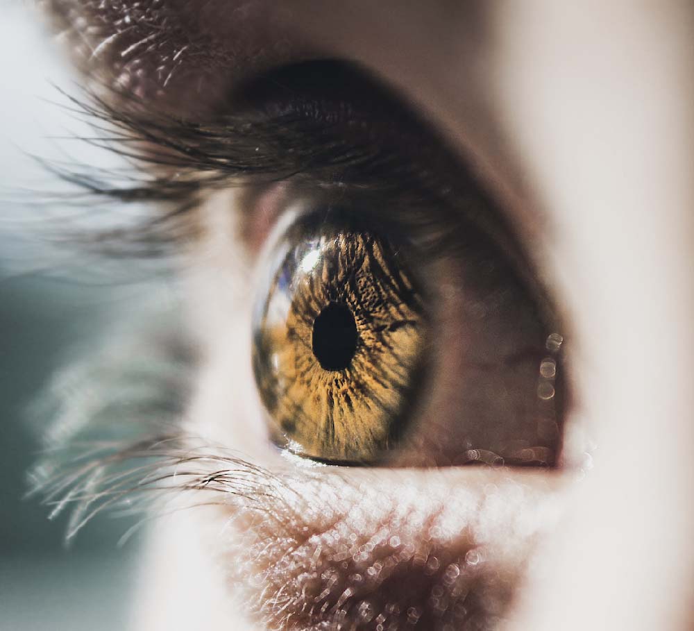 虹膜系统：构筑生物识别安全防线的前沿科技